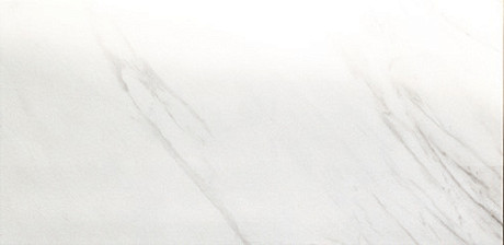 Керамическая плитка Canalgrande (40x80) 18-006-5