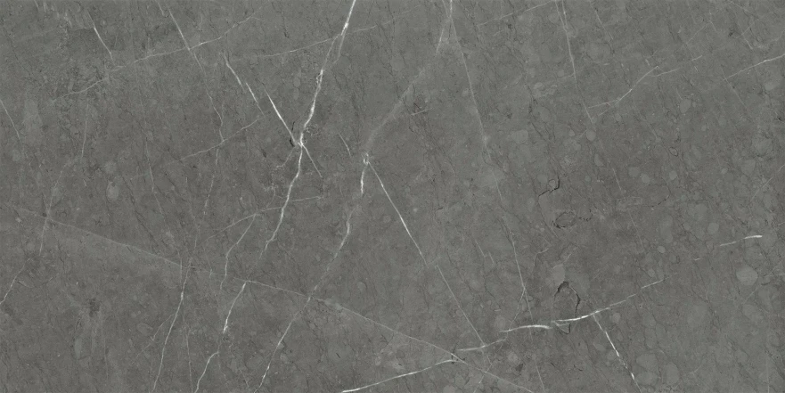 Керамогранит Skala Dark Grey Matt. (60x120) K-2203/MR/600x1200 K-2203/MR/600x1200