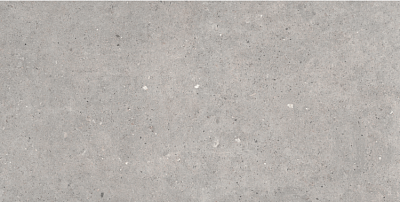 Grey (60x120) 601