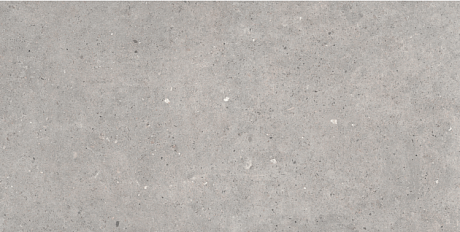 Grey (60x120) 601