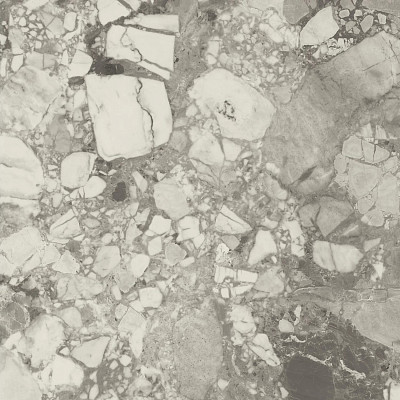 Керамогранит Forte Dei Marmi Ceppo Ap. Pearl LASTRA 20mm (60x60) 610010002726