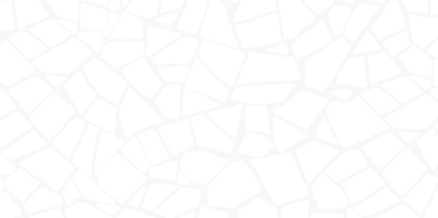 Плитка настенная Smalta White (24.9x50) WT9SML00 WT9SML00