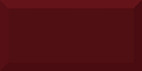 Керамическая плитка Monocolor Burdeos Biselado Brillo (10x20)