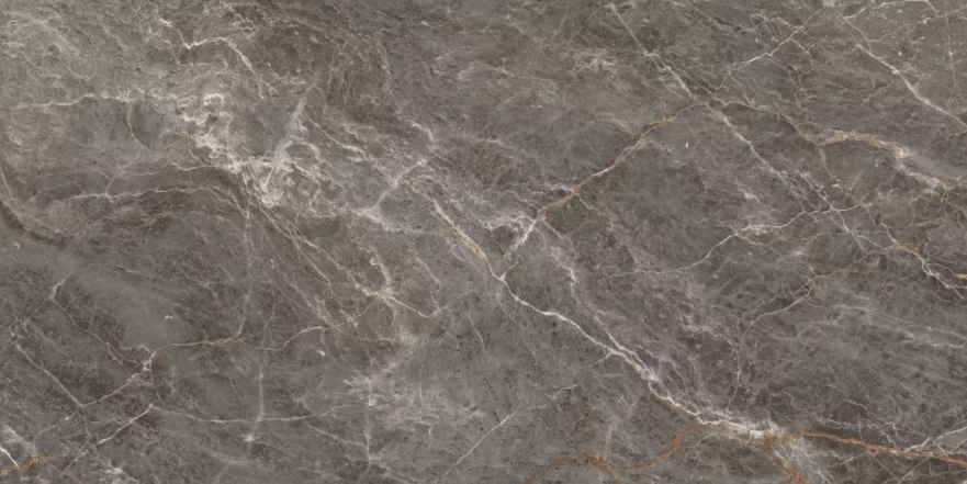 Istanbul Argenta Glossy 120x60 RP-160238