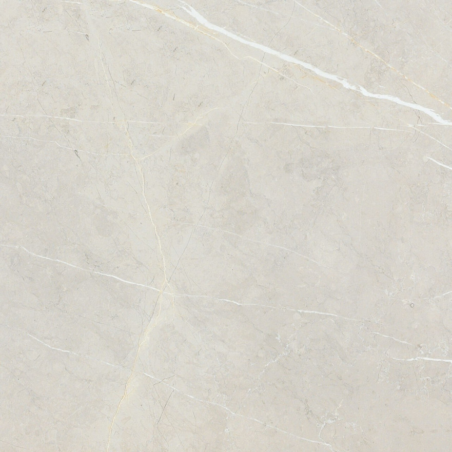 Керамогранит 2550 BB6NTT9101P (60x60) BB6NTT9101P