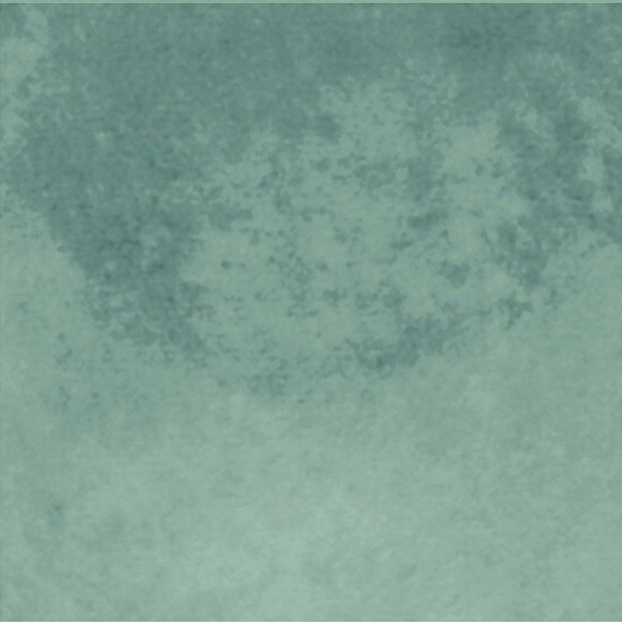 Керамическая плитка Poetry colors Sage n (10x10) PF60011527 PF60011527