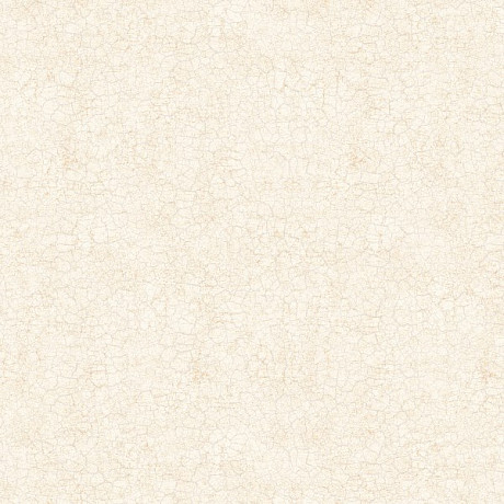 Керамогранит Diana Limb (41x41) FT4DIL01