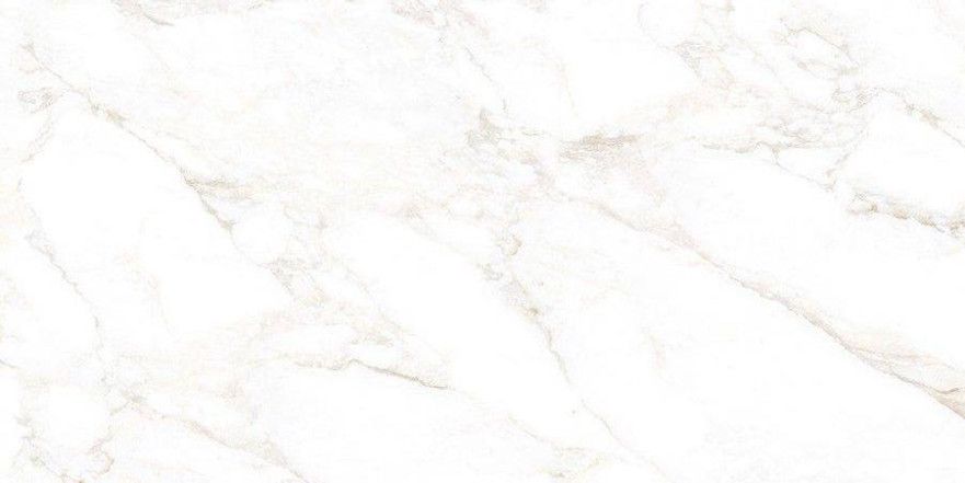 Керамогранит 2550 Marble Extra Endless mat NTT99526M (600x1200) NTT99526M