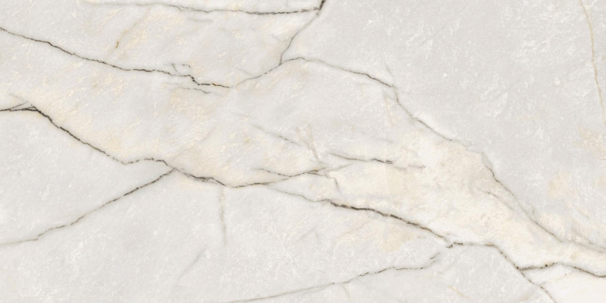 Керамогранит Epoque 21 Lilac Whi. Ant PF60009343 (60x120) PF60009343