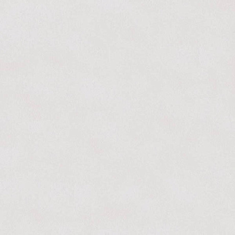 Керамогранит Hidraulico Blanco Basic White (25x25)