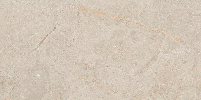Керамогранит Pearl Glossy111.11R.1111 (60x120)