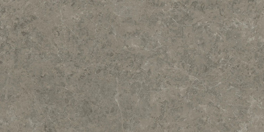 Керамогранит Marvel Meraviglia Grigio Elegante Lapp. AJIA (120x240) AJIA