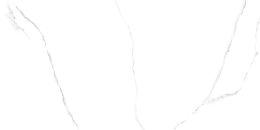 Керамогранит Atlantic Marble 60120AMR00P (60x120) 60120AMR00P