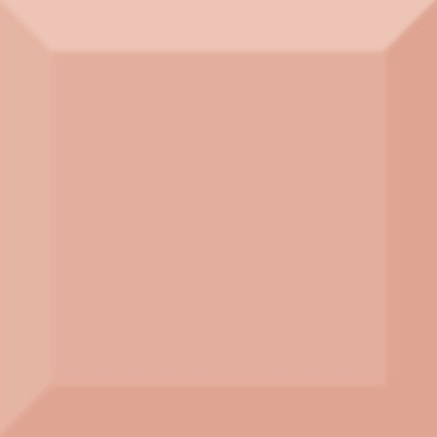 Настенная плитка Biselado Brillo Coral (10x10)