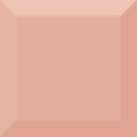 Настенная плитка Biselado Brillo Coral (10x10)