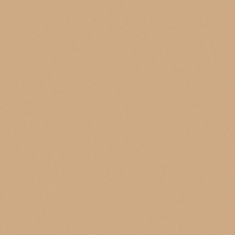 Керамогранит RW15 непол. рект. (60x60)