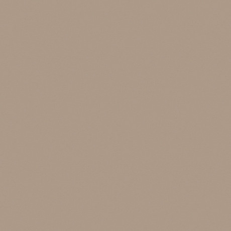 Керамогранит RW041 непол. рект. (60x60)