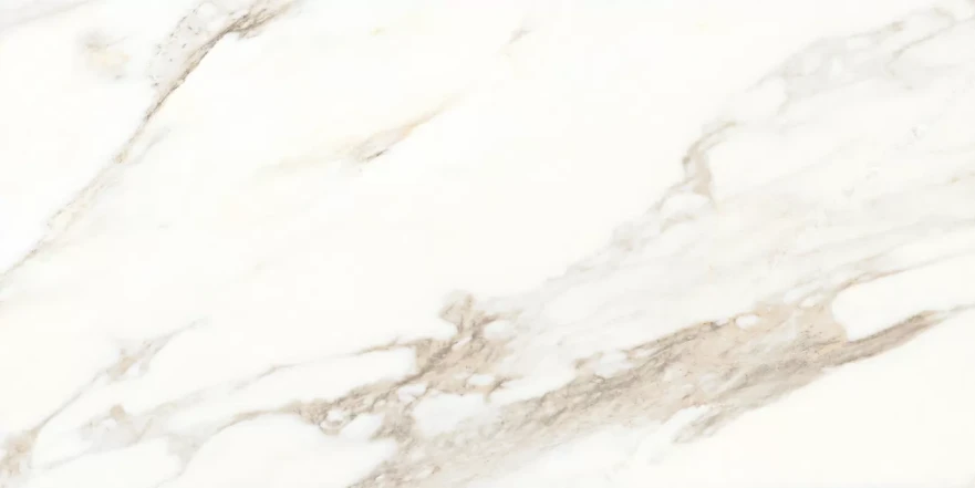 Rosa Aurora Rosa Aurora Glossy (60x120) RP-203100 RP-203100