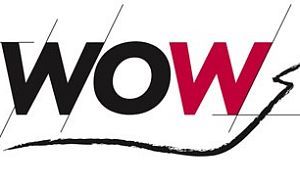 Специальные условия на фабрику Wow