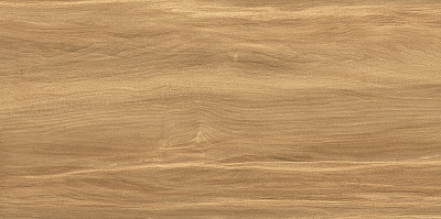 Плитка настенная Portland Dark (24.9x50) WT9POT21