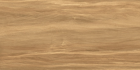 Плитка настенная Portland Dark (24.9x50) WT9POT21