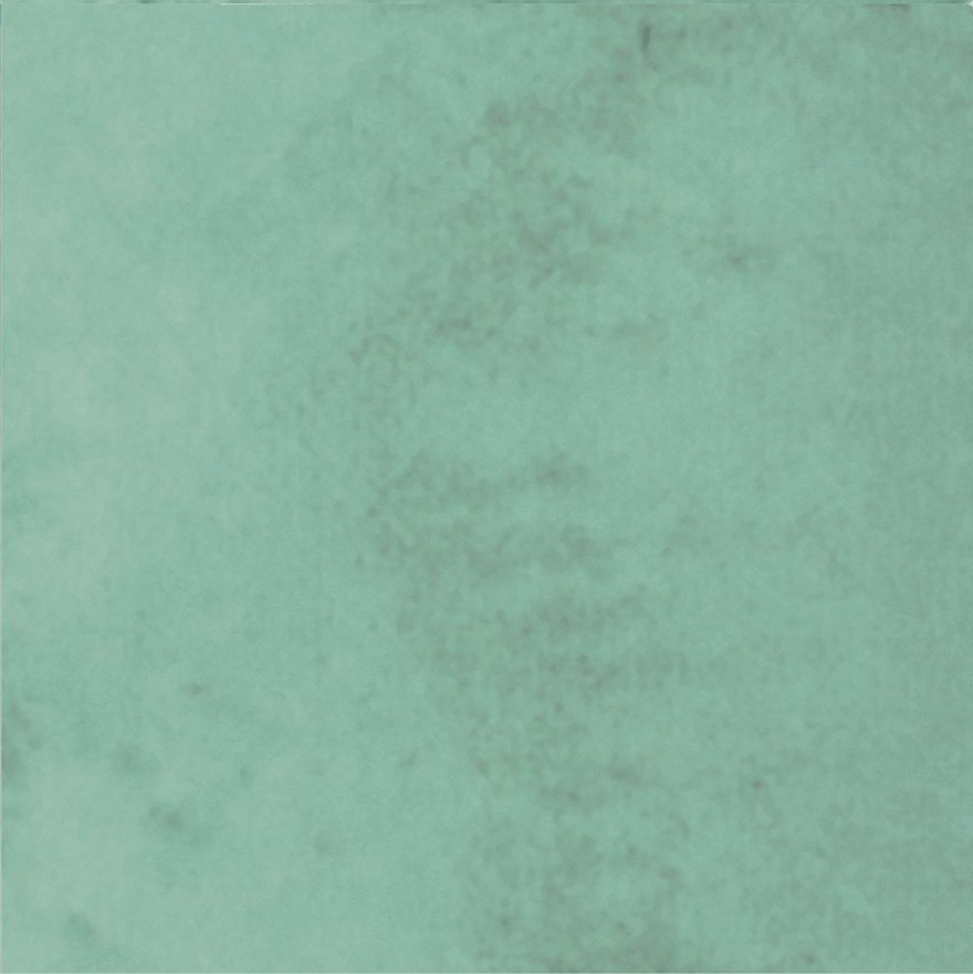 Керамическая плитка Poetry colors Sage n (10x10) PF60011527 PF60011527