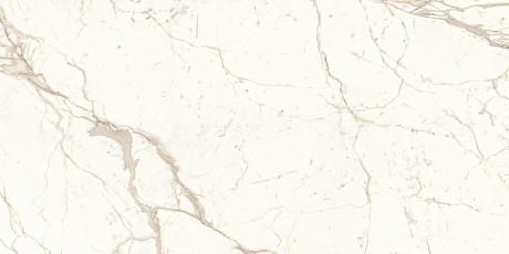 Керамогранит Calacatta Prestigio Polished (160x320) Endless A4RR