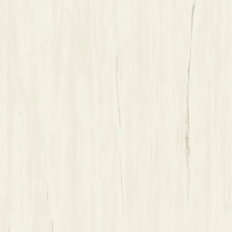 Керамогранит Marvel Bianco Dolomite (120x120) A204 A204