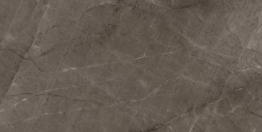 Gris Mramor Versace Gold (60x120) RP-91894 RP-91894