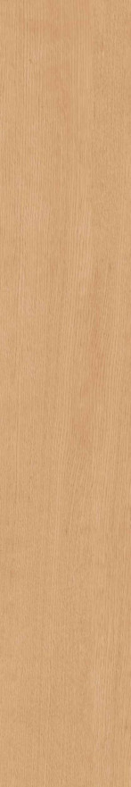 Керамогранит CW04 (19,4x120x10) непол. рект. CW 04 CW 04