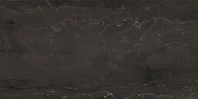 Керамогранит Marvel Absolute Brown (30x60) AEOI