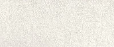 Керамическая плитка Aplomb White Leaf (50x120) A6FC