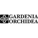 Gardenia Orchidea