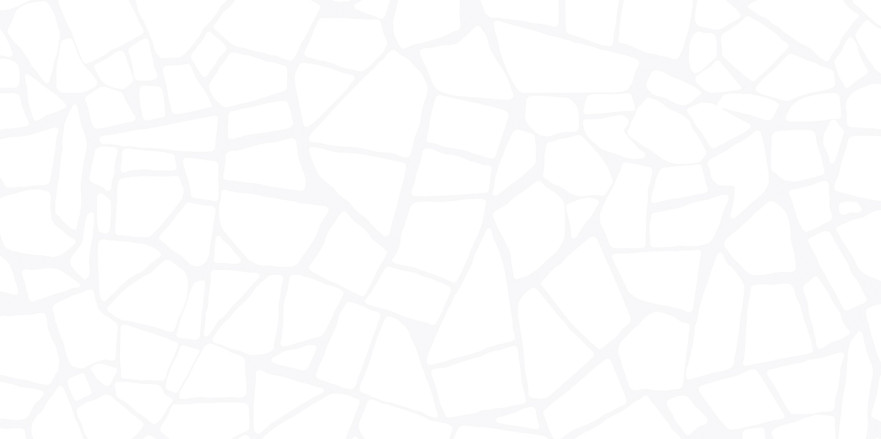 Плитка настенная Smalta White (24.9x50) WT9SML00 WT9SML00