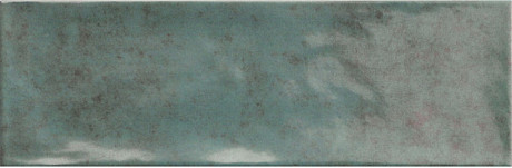 Rev.Cinque Terre ocean (10x30)