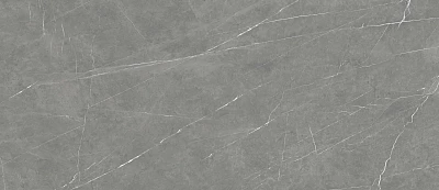 Керамогранит Pietra Roma (120х278х6) MPL-060359