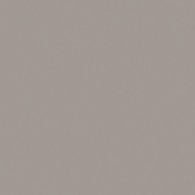 Керамогранит RW03 непол. рект. (60x60)