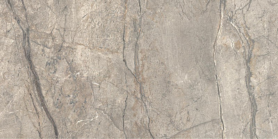 Керамогранит Anima Futura Amazing Silver Matt (60х120)