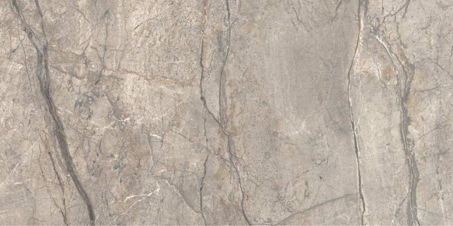 Керамогранит Anima Futura Amazing Silver Matt (60х120)