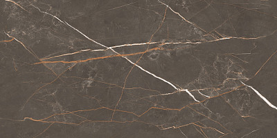 Керамогранит Letina Brown Tm (80x160) N20498