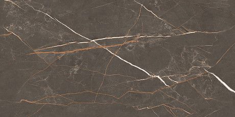 Керамогранит Letina Brown Tm (80x160) N20498