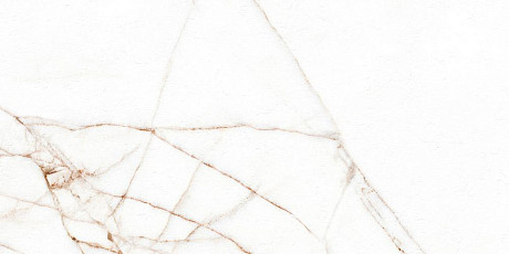 Керамогранит Melbourne Polished Rect.(60х120)