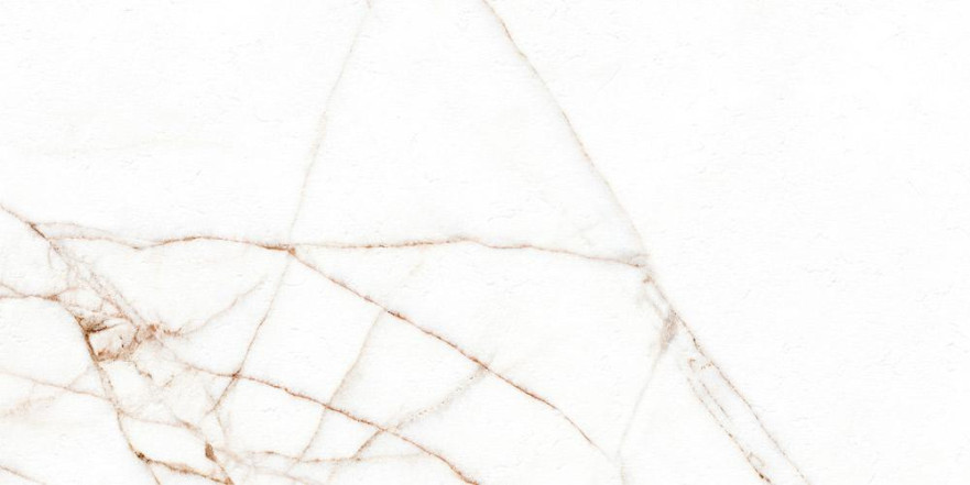 Керамогранит Melbourne Polished Rect.(60х120)