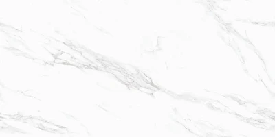 Керамогранит 1157 glossy (60х120) MPL-058815