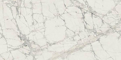 Керамогранит Prexious Rex Mountain Treasure Mat R (60x120) 755834