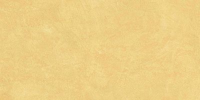 Керамогранит SR04непол. рект. (60x120)