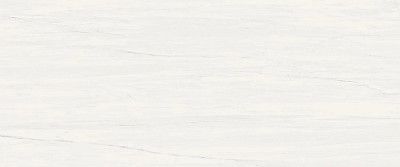 Керамогранит Marvel Bianco Dolomite (50x120) A4S4