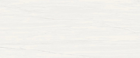 Керамогранит Marvel Bianco Dolomite (50x120) A4S4