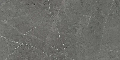 Керамогранит Skala Dark Grey Lapp. (60x120) K-2203/LR/600x1200