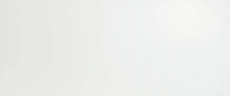 Керамическая плитка Solid White Matt (50x120) A6BF